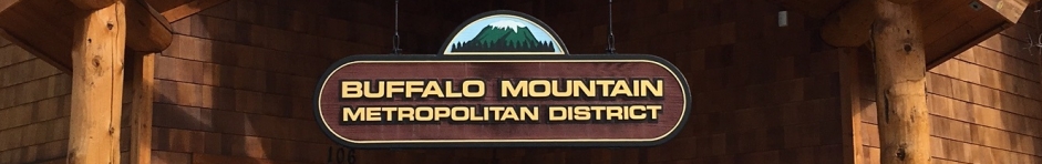 Buffalo Mountain Metropolitan District Home